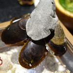 セララバアド - ムール貝