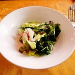 洋食屋シカレ - サラダ