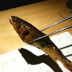 銀座 盡 - ツヤツヤの鮎