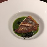 sardexka - ヒゲソリダイ　モロヘイヤのソース