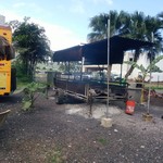 Mikes Huli Chicken - 煙モクモクなし？