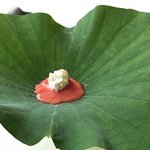 レストラン オオツ - 