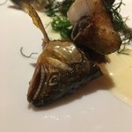 レフェルヴェソンス - 