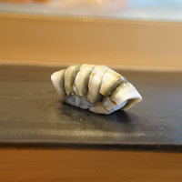 小判寿司 棚倉 - 新子