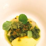 ロドラント ミノルナキジン - 