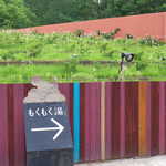 OTTO SETTE - 館内には、温水プール風の大浴場もあります。水着着用の混浴エリアもアリ