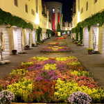 夜のピーマン通り。食事の余韻に浸りながら、同行者としばし散策。次の春も、二人で仲良く迎えたい