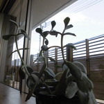 かつ屋まんてん - 卓上