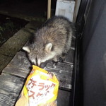 ヤオヨシ - 食べてみた