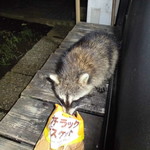 ヤオヨシ - 食べてみた