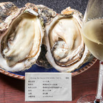 Raw Oyster from Kanawa Fisheries in Hiroshima Prefecture - from Daikokukamijima in the Setouchi Inland Sea (in the summer, the oysters are changed to Hokkaido Senpoji etc.)
