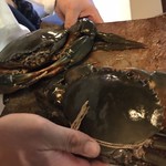 うを徳 - ドウマン蟹