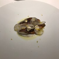 レフェルヴェソンス - 