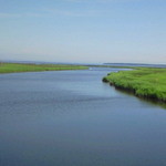 ラビスタ函館ベイ - 25 【朝食無関係】 別海の川(国道244 橋上から下流)