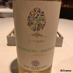 カーサ・デル・チーボ - SAN MARZANO IL PUMO SAUVIGNON MALVASIA