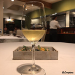 カーサ・デル・チーボ - CAROLINA MARENGO CHARDONNAY 