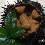 塩竈 すし哲 - 殻付きうに１６８０円