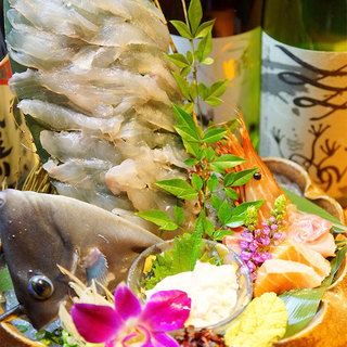 贅沢お造り付きコース 120分飲み放題付き5000円 はまぐり水族館 Neo 岡山駅前店 西川緑道公園 居酒屋 食べログ