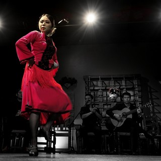 [Held every Monday] Passionate flamenco live