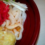 爽亭 - 冷やし担々うどん　(麺)