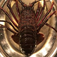レストラン ロワール 鉄板焼 - 