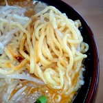 Fudo Shiyotsupu Tama - 旭川濃厚味噌ラーメン　(麺)