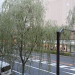 ブルドッグ 銀座 クラフトビール World Beer Pub＆Foods - 