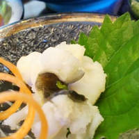 日本料理 芝桜 - 