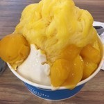 閉店 アイスモンスター 越谷レイクタウン Ice Monster 越谷レイクタウン かき氷 食べログ 閉店 アイスモンスター 越谷レイクタウン Ice Monster 越谷レイクタウン かき氷 食べログ