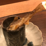 虎白 - 鮎ドボン