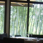 エルルカン・ビス - 表の竹林のそよぐ様が涼しげで・・（2011.8）