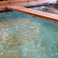 河太郎 中洲本店 - 