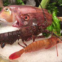 六本木 kappou ukai - 