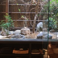 牛歩 - 