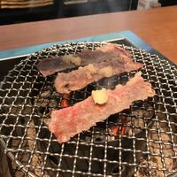 牛歩 - 