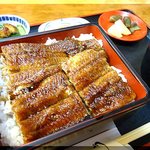 炭火焼うなぎ 東山物産 - うなぎ丼(上) 