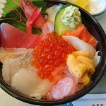 鱗晃 - 海鮮丼 丼は小さめ