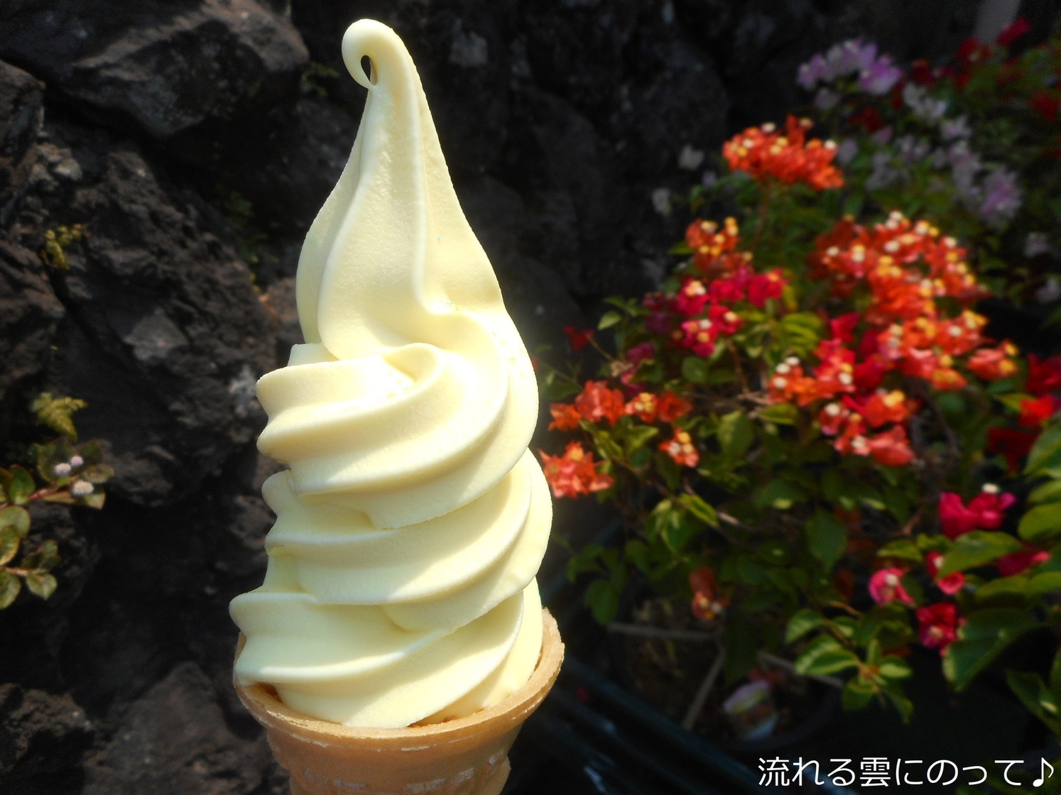 小室山レストハウス name=