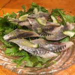 ビストロ シン 2 - 