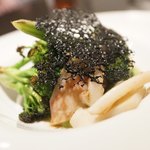 SIO syuji hijikuro - 