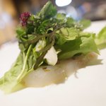 SIO syuji hijikuro - 