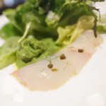 SIO syuji hijikuro - 