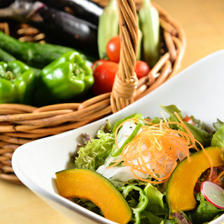 ◆自家栽培◆おなか元気農園の“無農薬野菜”でリフレッシュ！