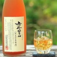 鳳凰美田　熟成秘蔵梅酒 / 栃木