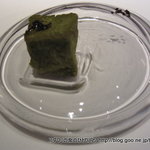 フロリレージュ - 