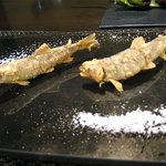 レストラン バカール - 稚あゆのフリット