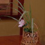 一風庵 - 宴會（うたげ）の間（ま）、床（とこ）の間（ま）の生花（いけばな）