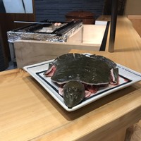 柳家錦 - 