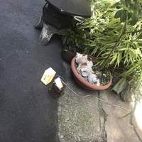 すし ふくづか - 