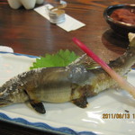 居酒屋 みこし - 